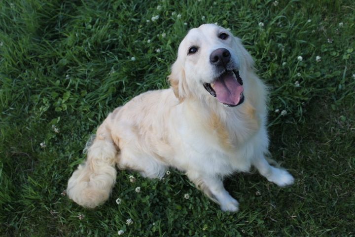 Phanny Des Joyaux De La Sambre